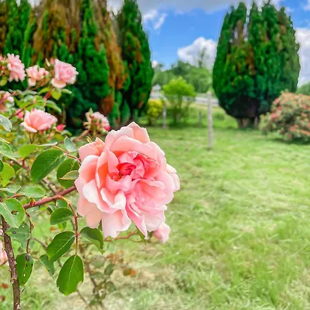 Maison Confortable Proche Des Plages *