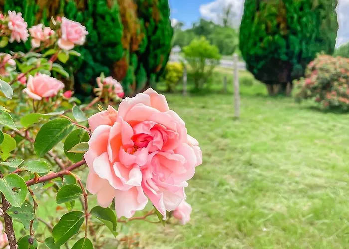 Maison Confortable Proche Des Plages *